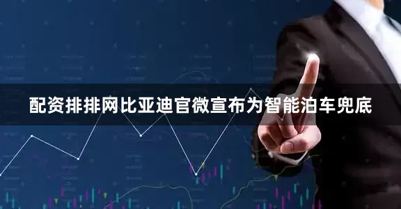 配资排排网比亚迪官微宣布为智能泊车兜底
