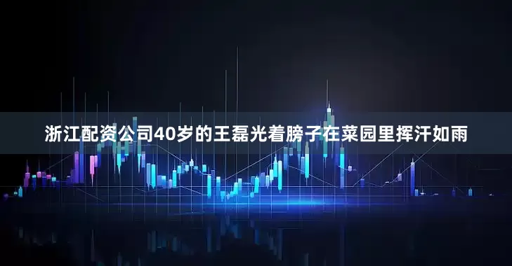 浙江配资公司40岁的王磊光着膀子在菜园里挥汗如雨